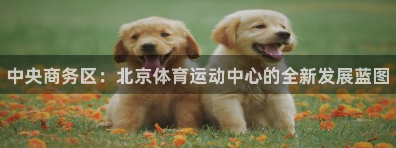 米兰体育场