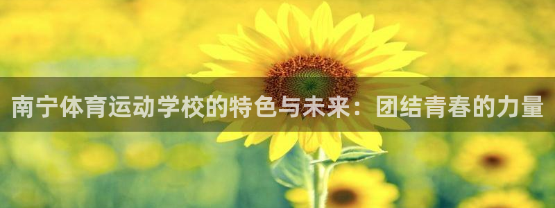 米兰体育官方下载入口