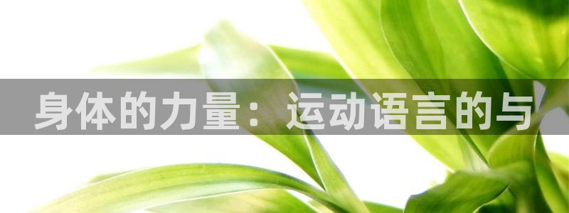 米兰体育报官网