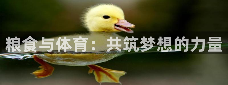 米兰体育官网入口